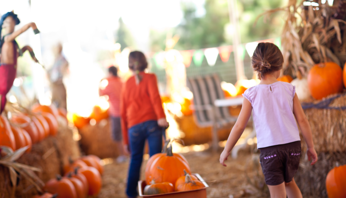 Orlando's Best Family Friendly Fall Festival