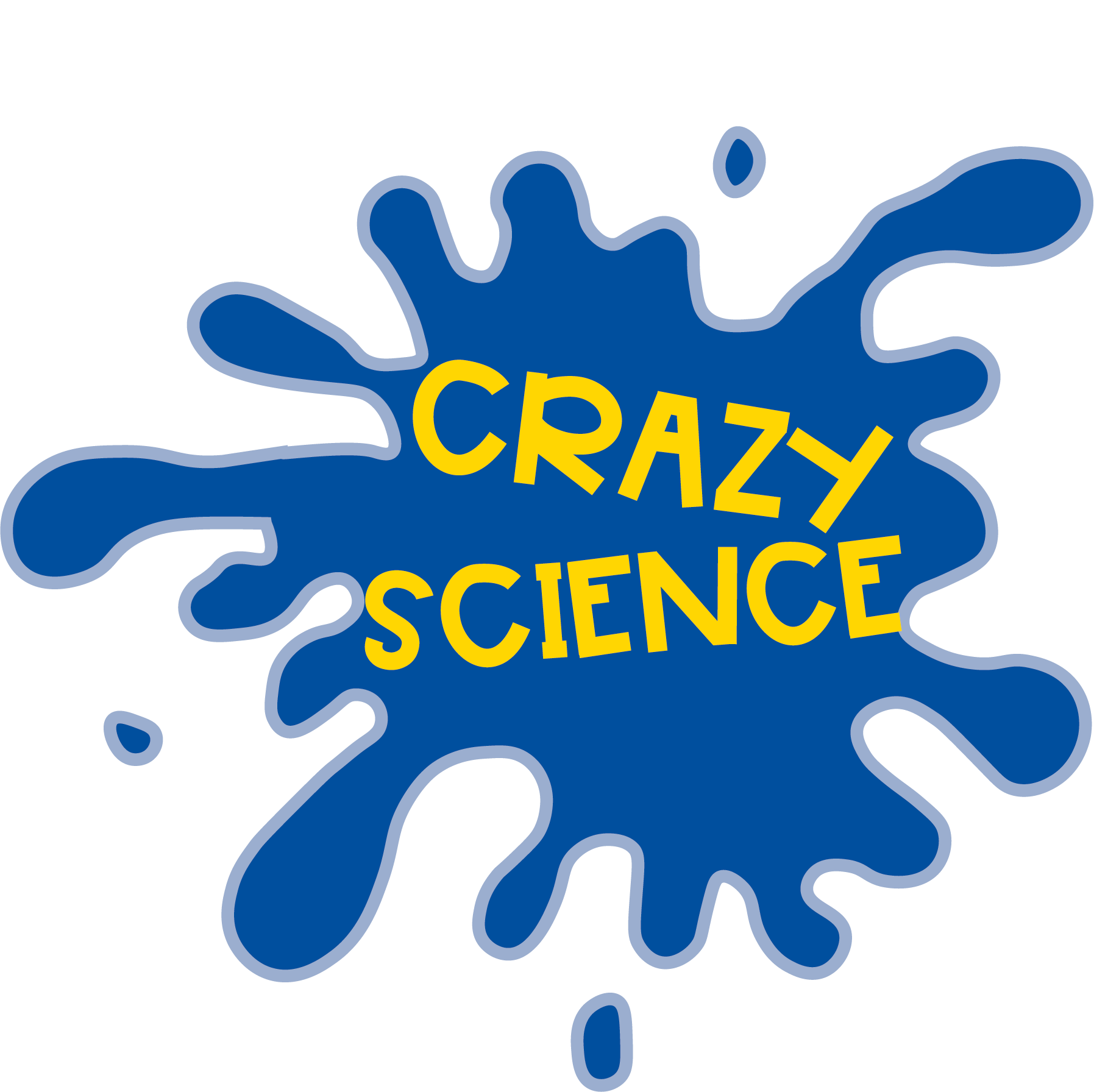 Day Camps The First Academy